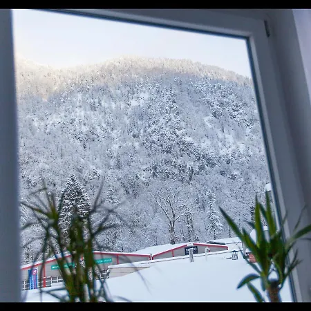 Daniel * Bad Reichenhall